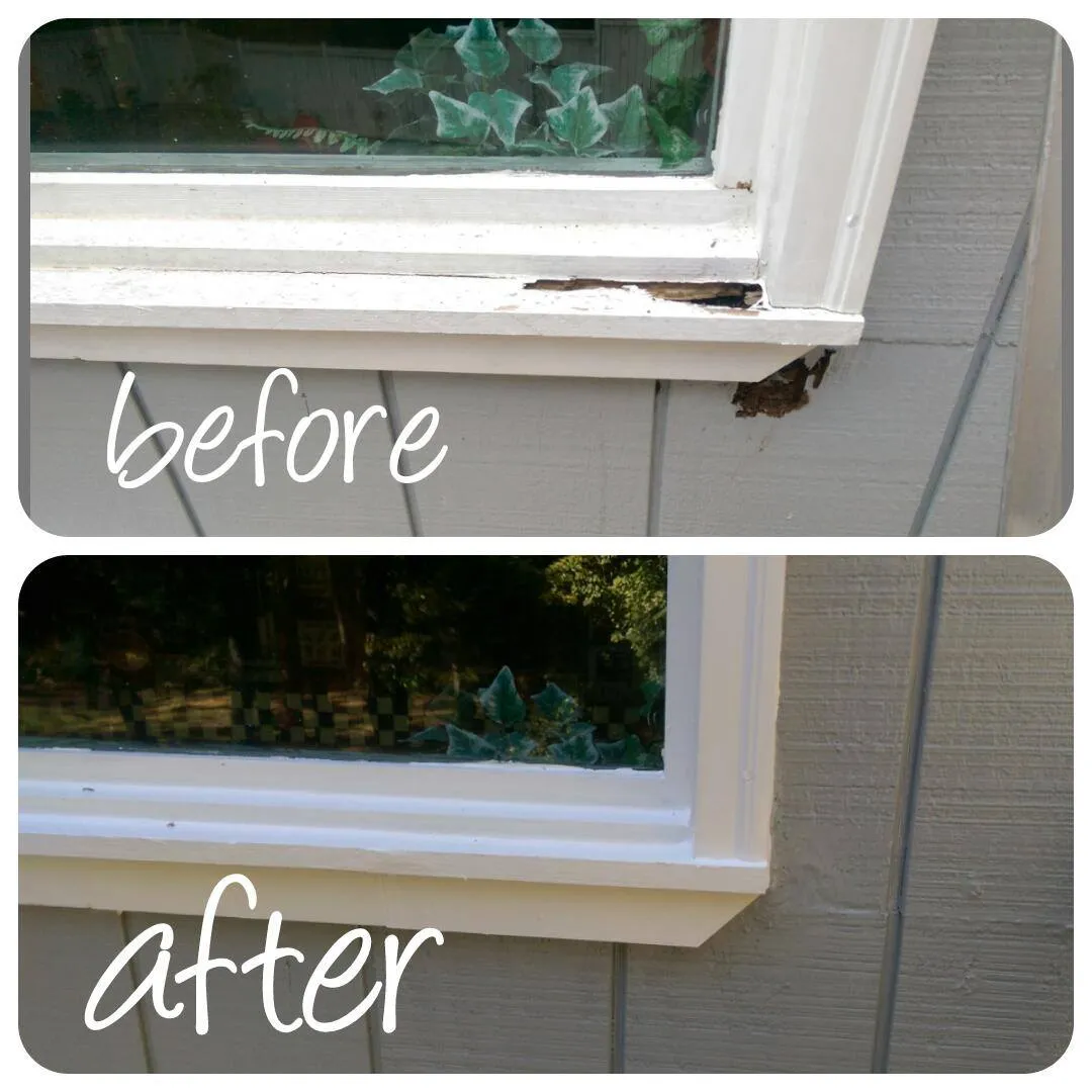 Rot repair project
